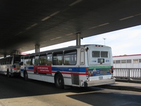 Bus 4915