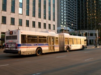 Bus 7500
