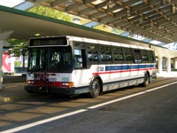 Bus 6000