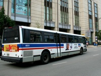 Bus 6000
