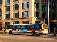 Bus 5300