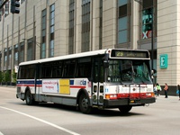 Bus 5300