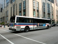 Bus 5300