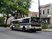 Bus 5300
