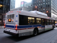 Bus 800