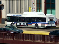 Bus 800